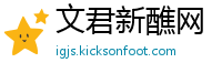 文君新醮网